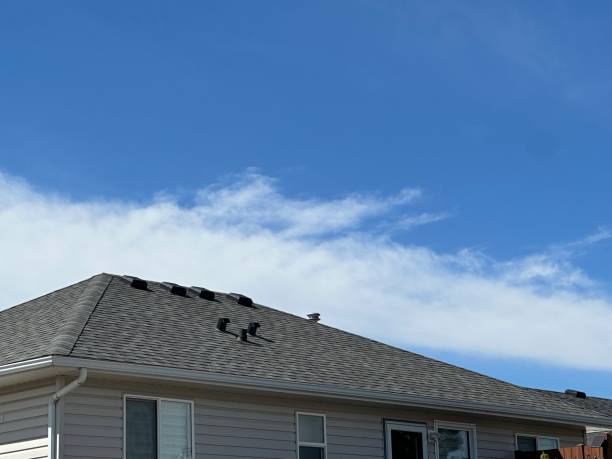 Best Gutter Installation and Repair  in Edgefield, SC